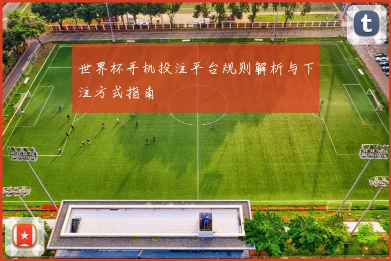 世界杯手机投注平台规则解析与下注方式指南